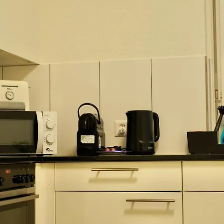 Apartment Swiss - 2 Bedroom Close To Eth Zurich
