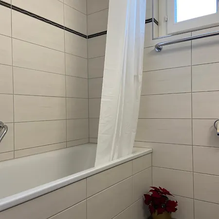 Swiss - 2 Bedroom Close To Eth Apartment *